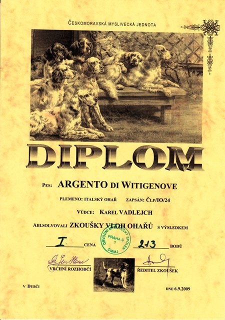 Diplom ZV Argento