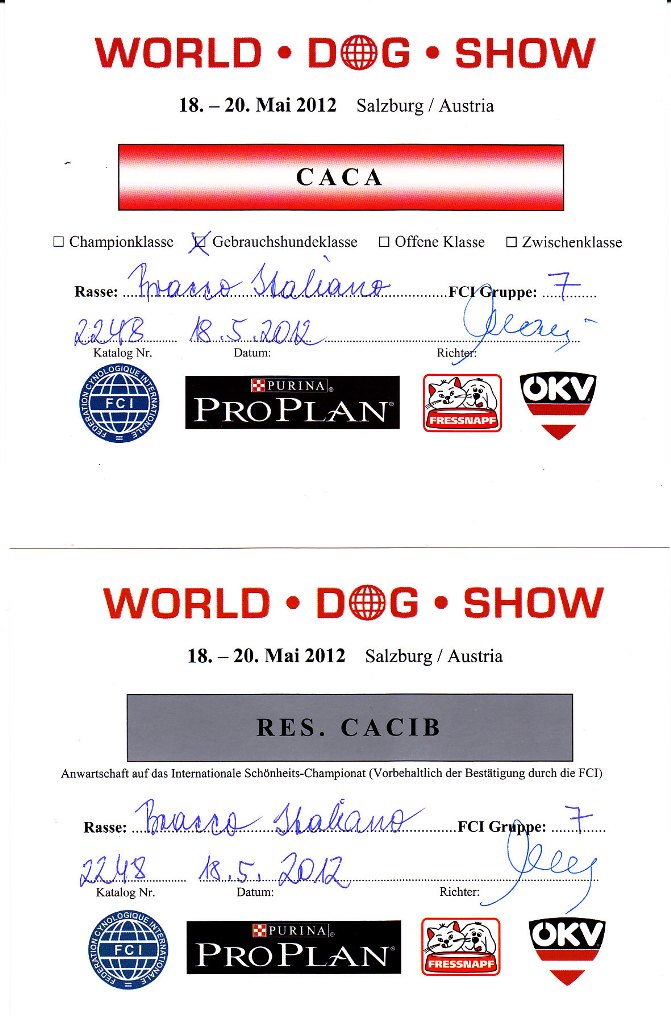 World dog show 2012